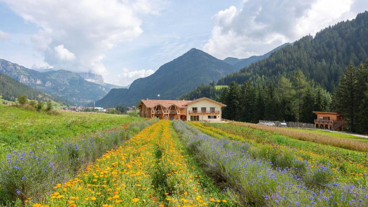 Eco-Green Fiores Agriturismo Віго-ді-Фасса Екстер'єр фото